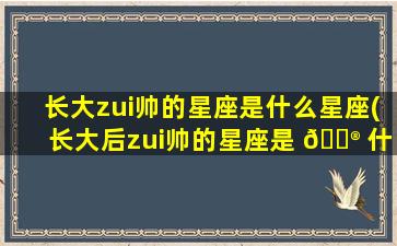 长大zui
帅的星座是什么星座(长大后zui
帅的星座是 💮 什么星座)